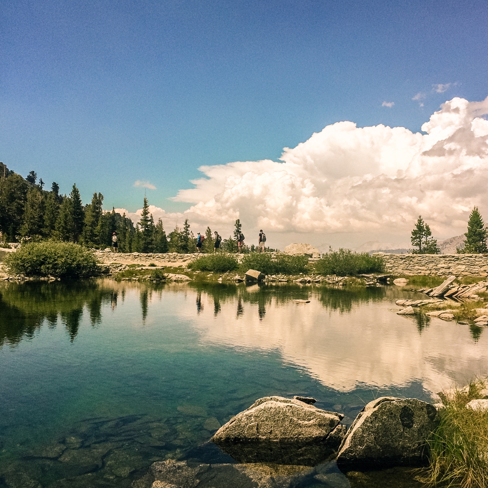 Sequoia Forest_Odaniel_IG (25 of 32).jpg