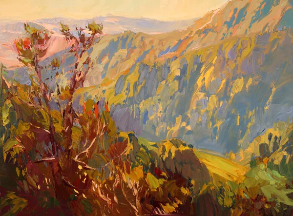 Carole Gray-Weihman