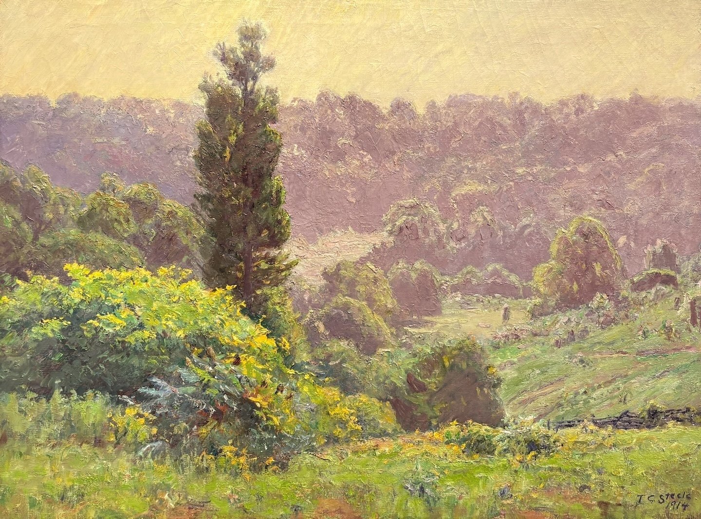 T. C. Steele (American 1847-1926) A Hazy Day in June, 1914 Oil on canvas, 30 × 40 inches Signed and dated lower right