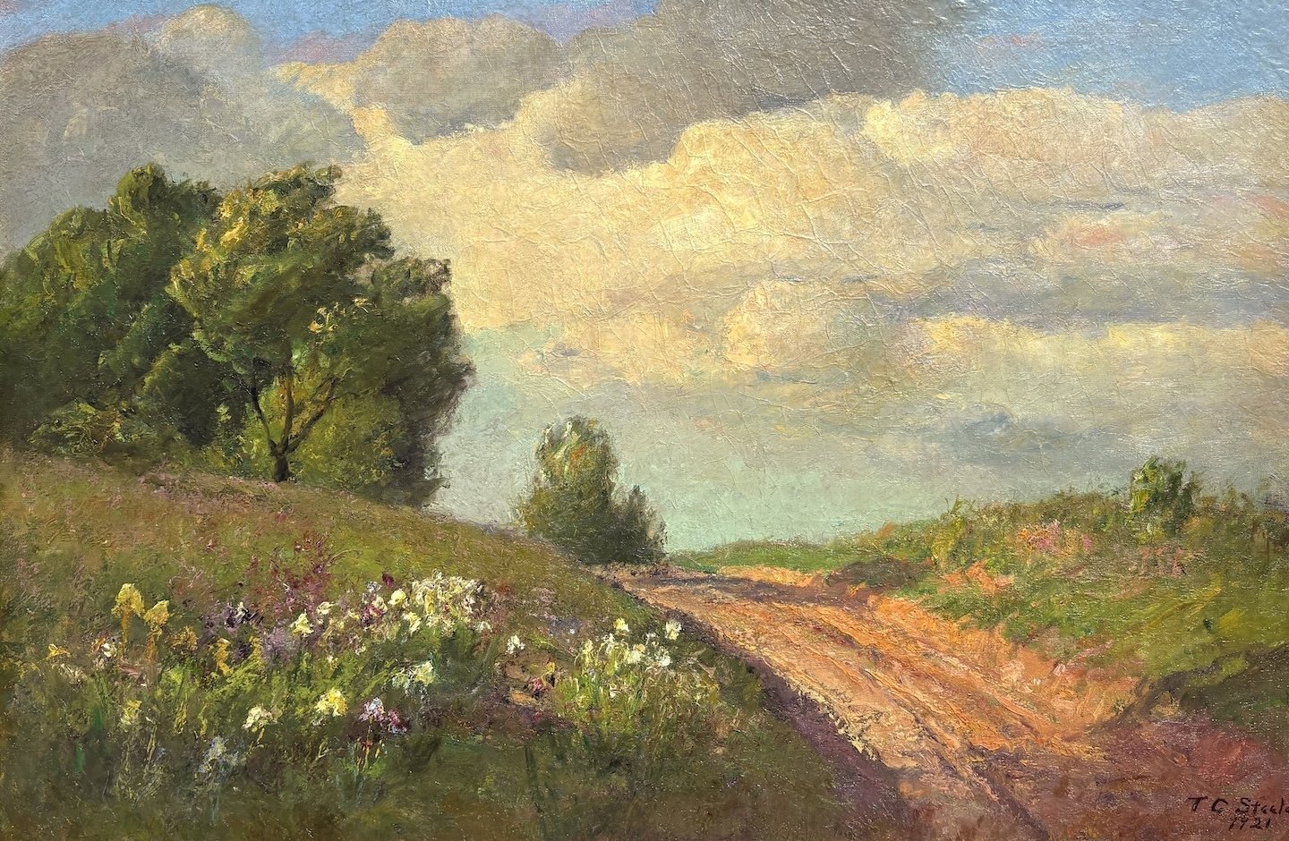 T. C. Steele (American 1847-1926) Flowers Along the Drive, 1921 Oil on canvas, 30 × 45 inches Signed an dated lower right