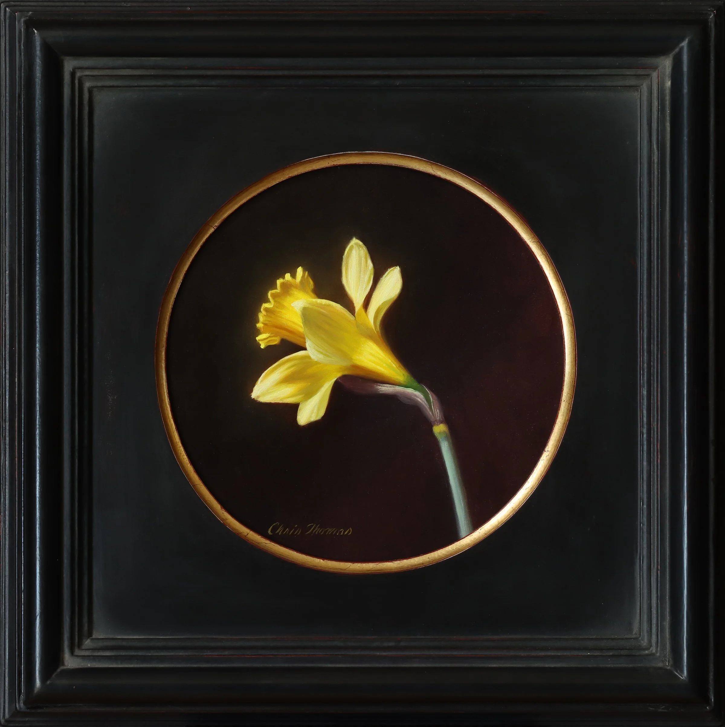 Chris Thomas (American, b. 1970) Turned Daffodil, 2025 Oil on board, 6 × 6 inches Signed lower left $1,400
