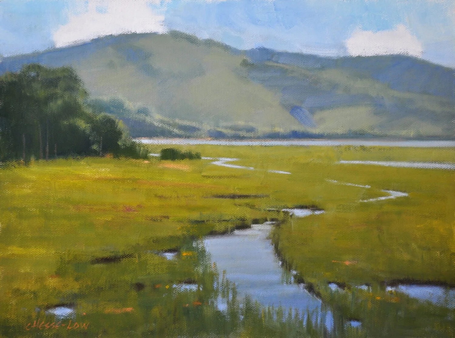 Carolyn Hesse-Low Penasquitos Estuary, 2025 Oil, 9 × 12 inches $1,400