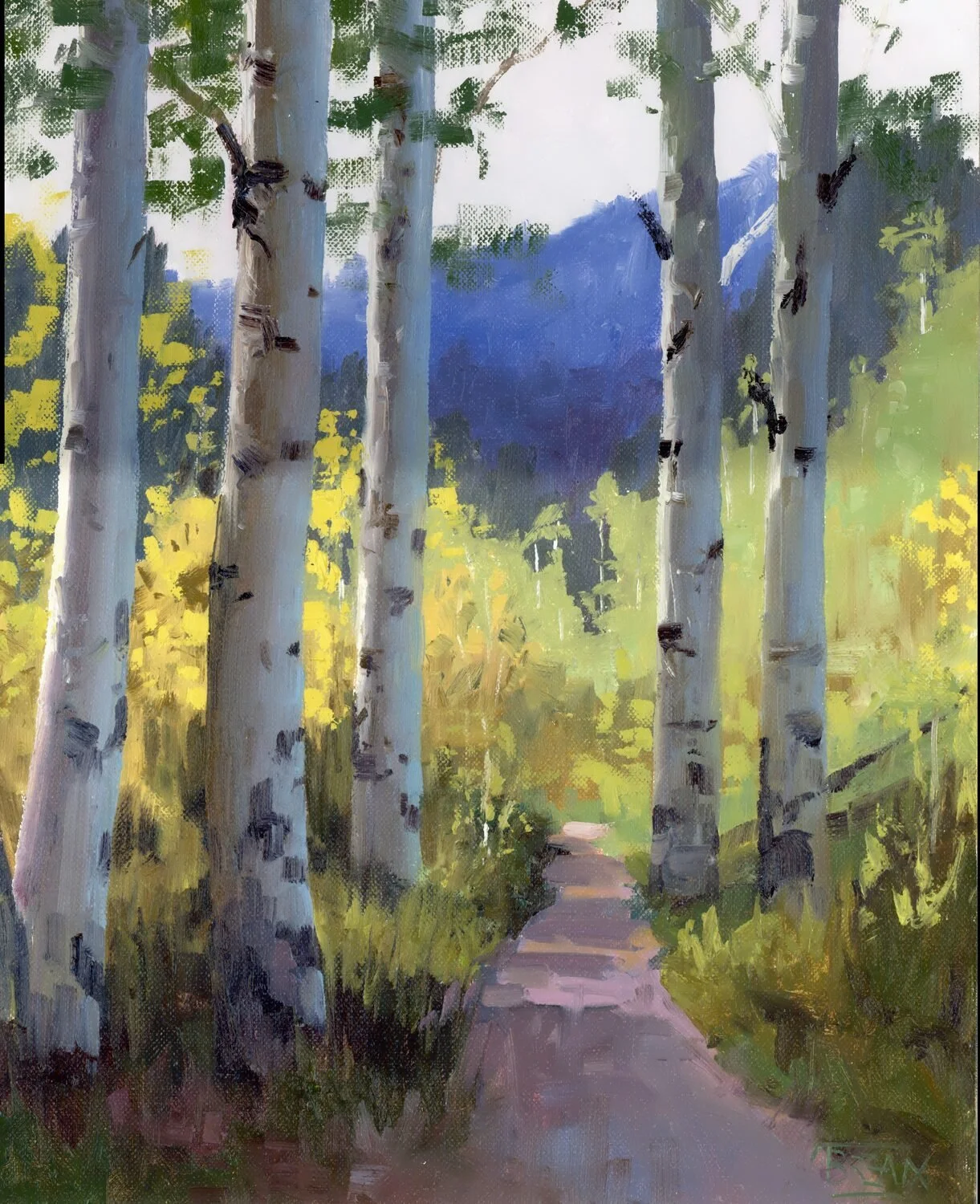 Tim Breaux Overlook Trail, 2025 Oil, 14 × 11 inches $1,800