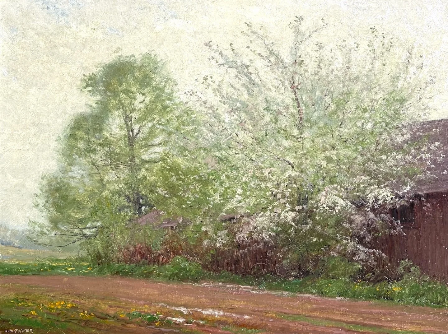   Alexis Jean Fournier   (American 1865-1948)   Spring Blossoms   Oil on canvas, 18 × 24 inches  Signed lower left 