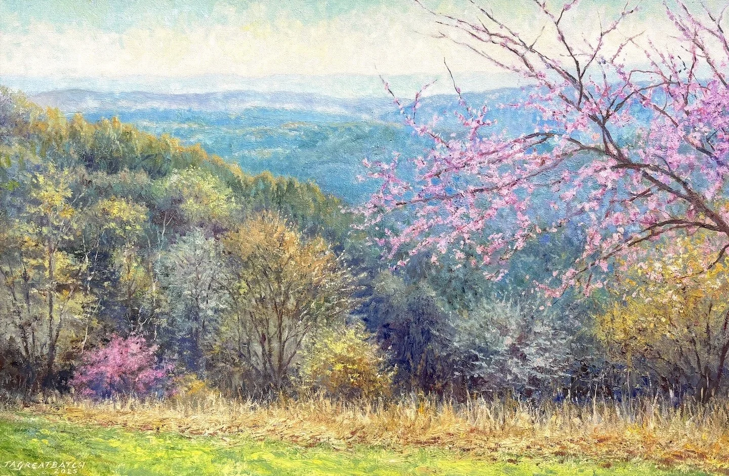   Tim Greatbatch   (American, b. 1953)   Blue Veil of Spring,  2025  Oil on canvas, 16 × 24 inches  Signed and dated lower left  $3,200 