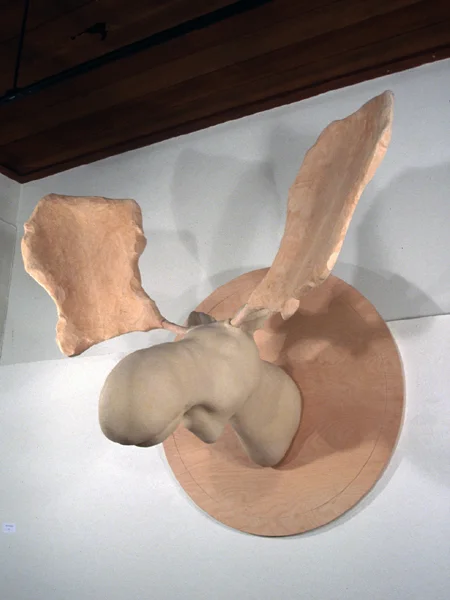   Ghost with the Most,  2002  Ceramic, acrylic, plywood, maple, bass  52 x 48 x 48 in 