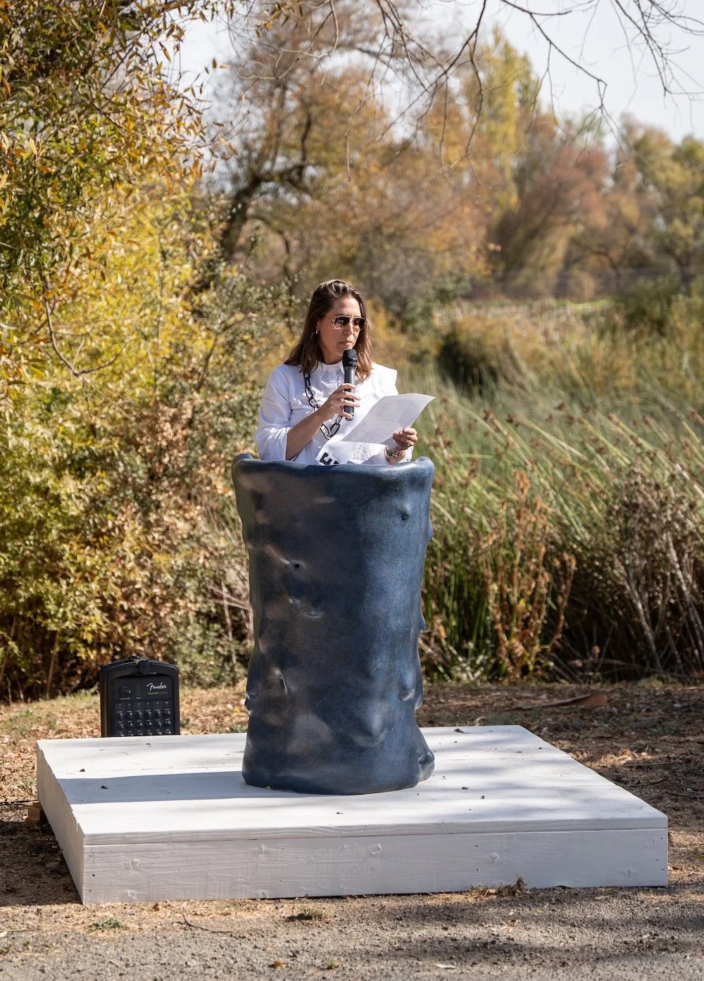   STAND IN: Speech Aboard the Iceberg , 2024, Lani Rovzar,  Di Rosa Center for the Arts,   