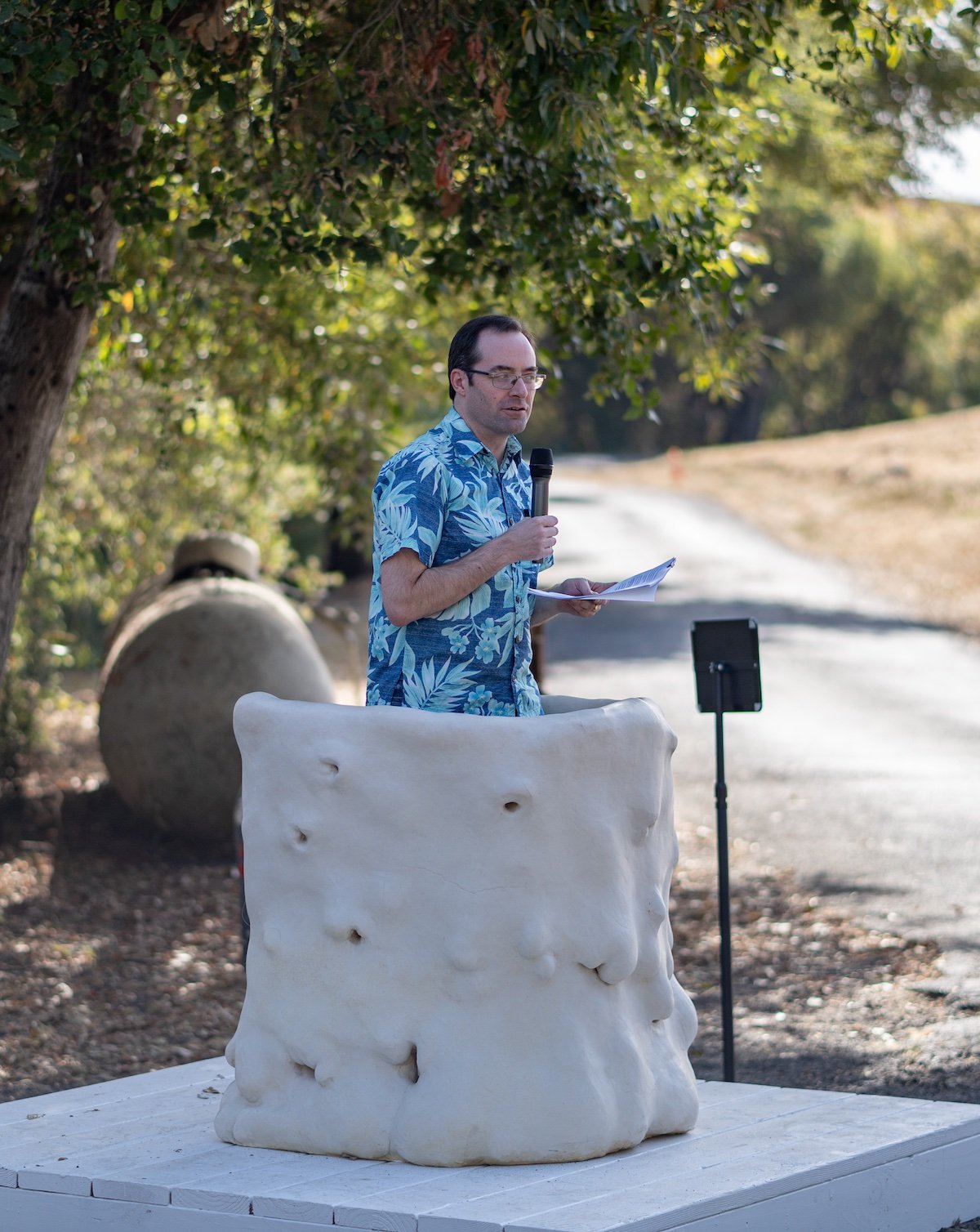   STAND IN: Platform of Peace  , 2024, Ben Lunch, Di Rosa Center for the Arts 