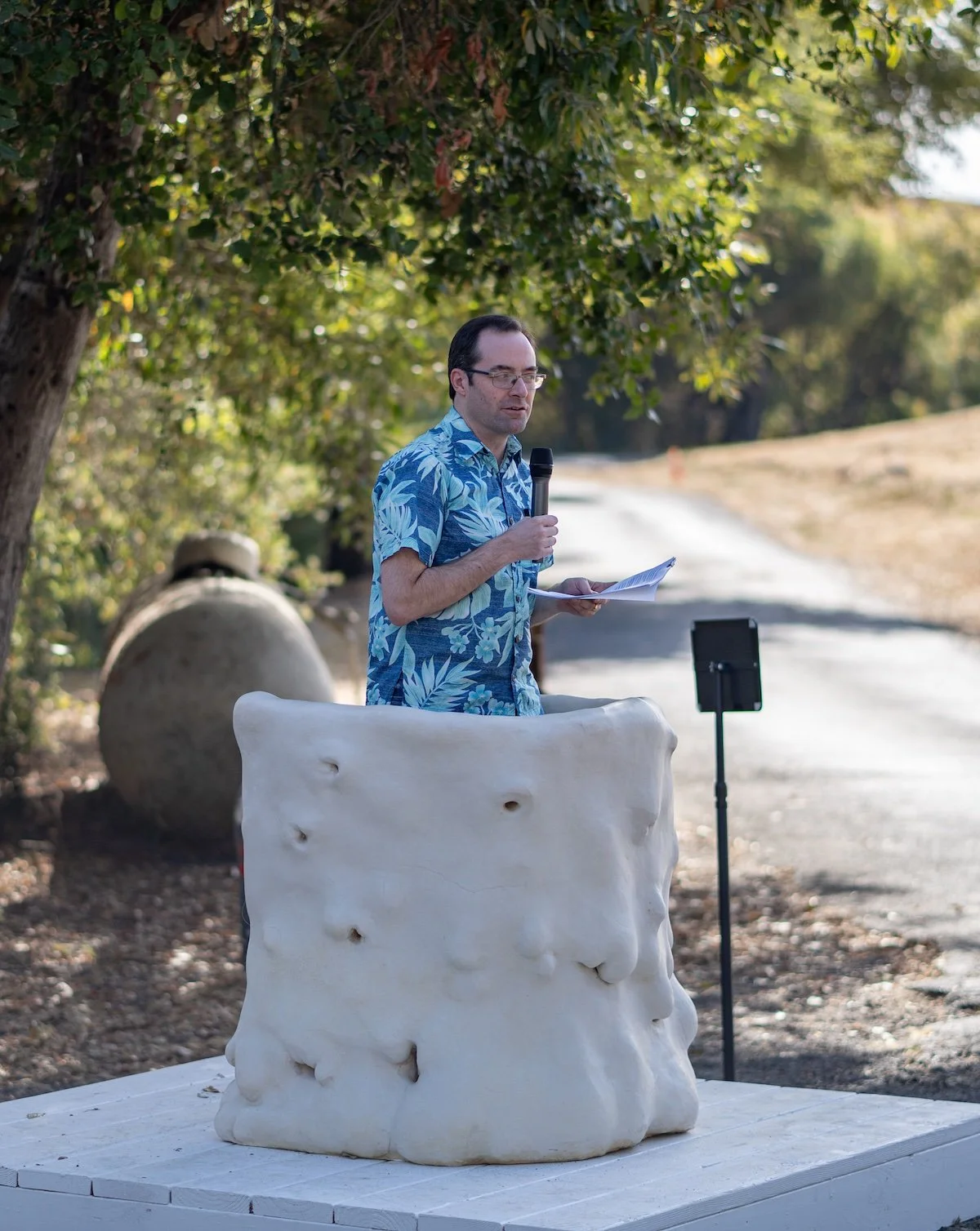 dirosa lunch peace platform copy 2.jpg