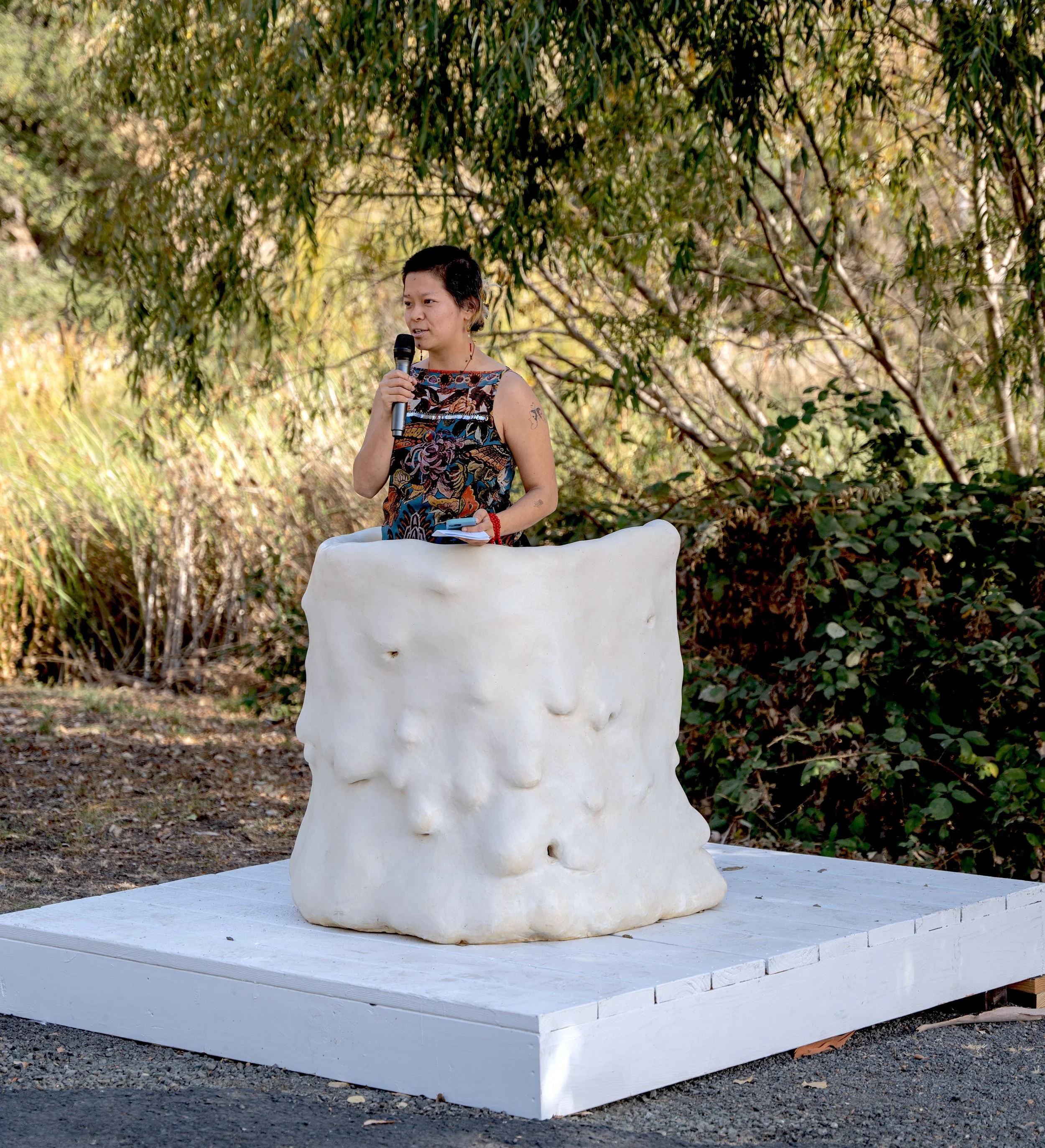 07 Platform of Peace_Mengjiao Zhang DiRosa.jpg