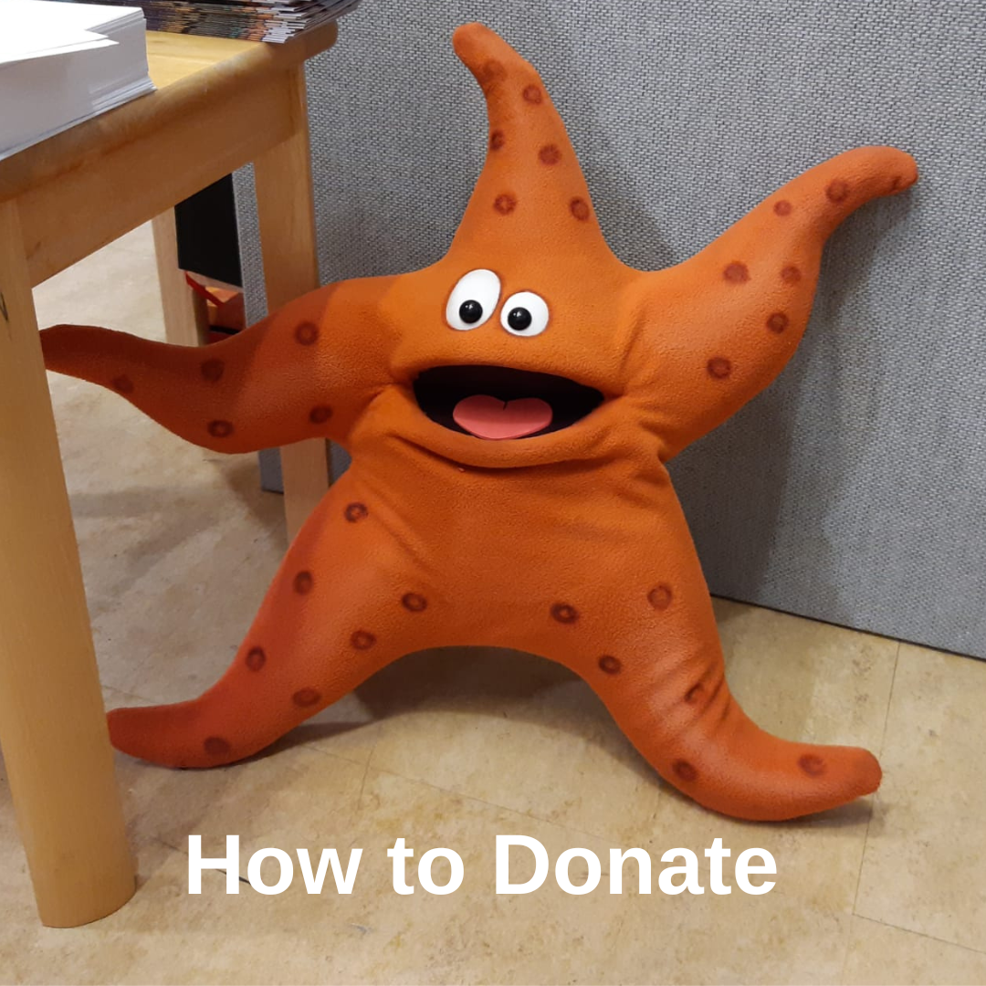 Donate Here Starfish Malawi