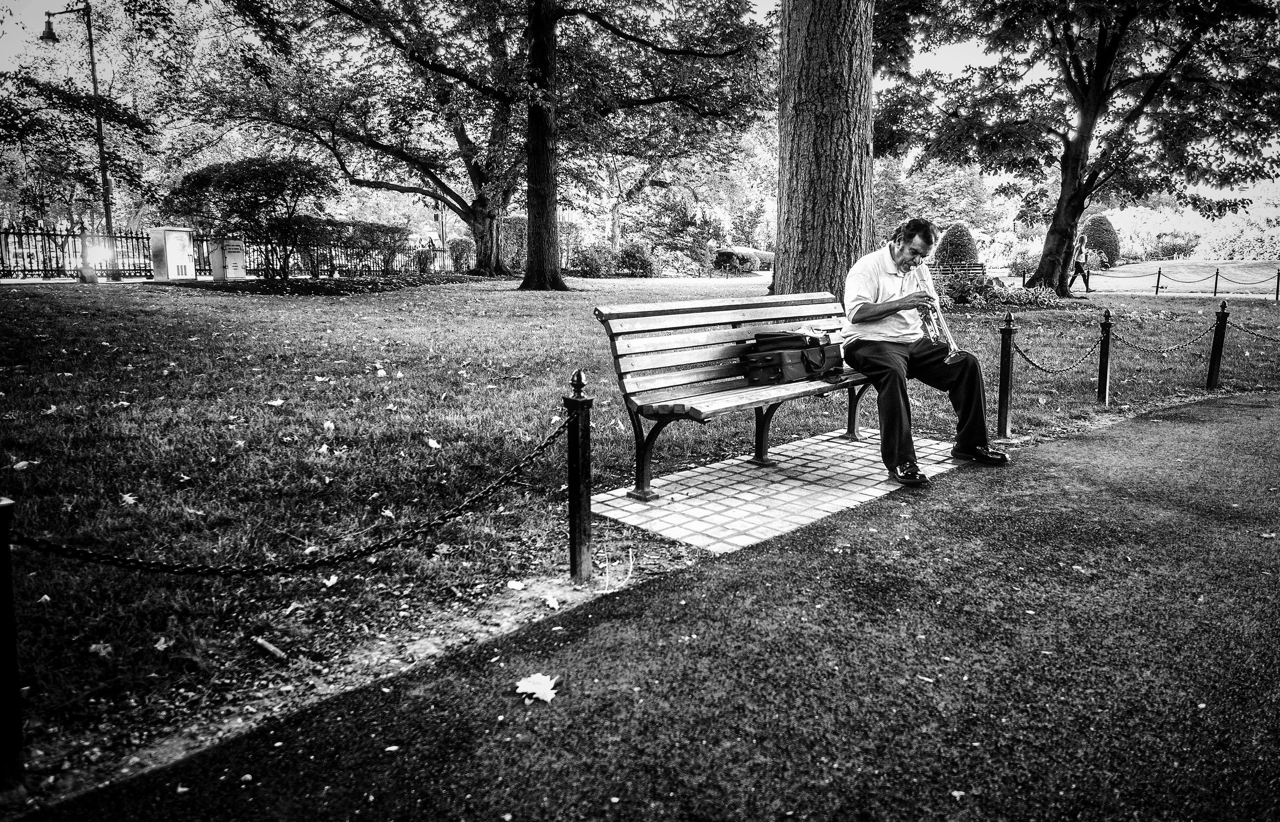 PA071900-3 cutvignette bleached drama.jpeg