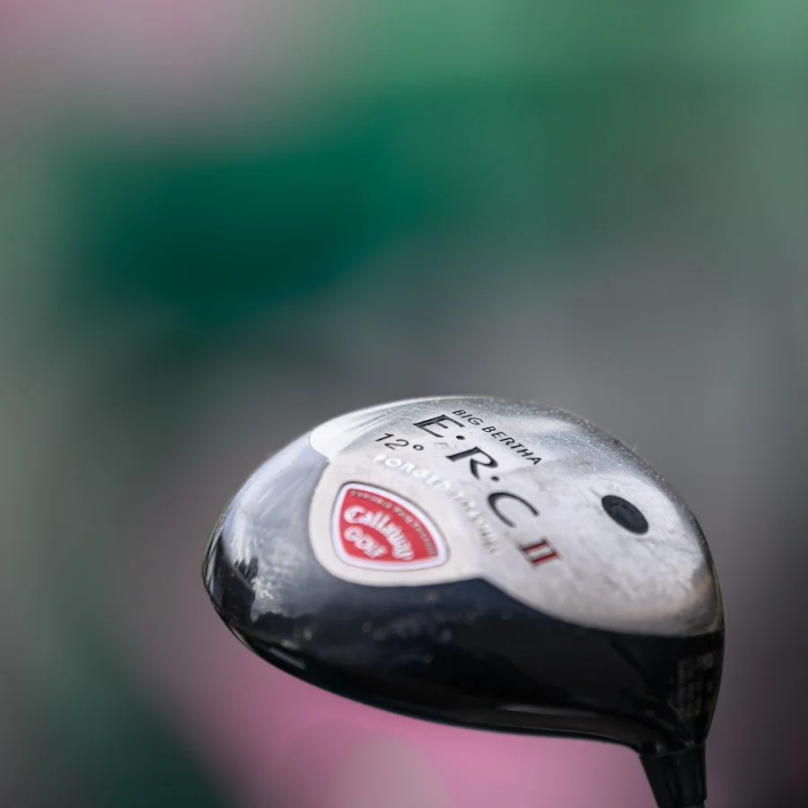 LOWRES PGC23-2.jpg