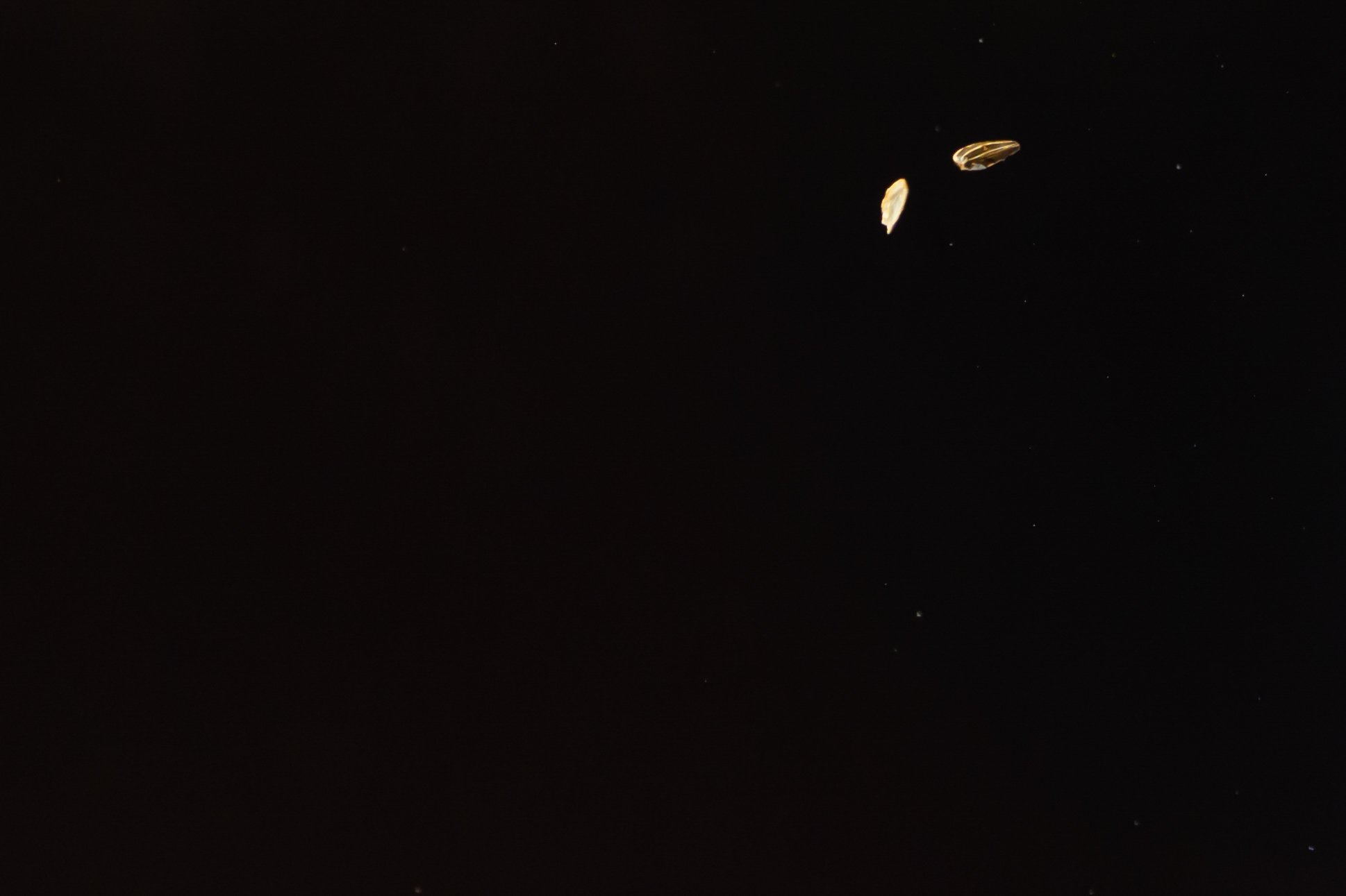 low resolution NCC BaseB 26 G1-29.jpg