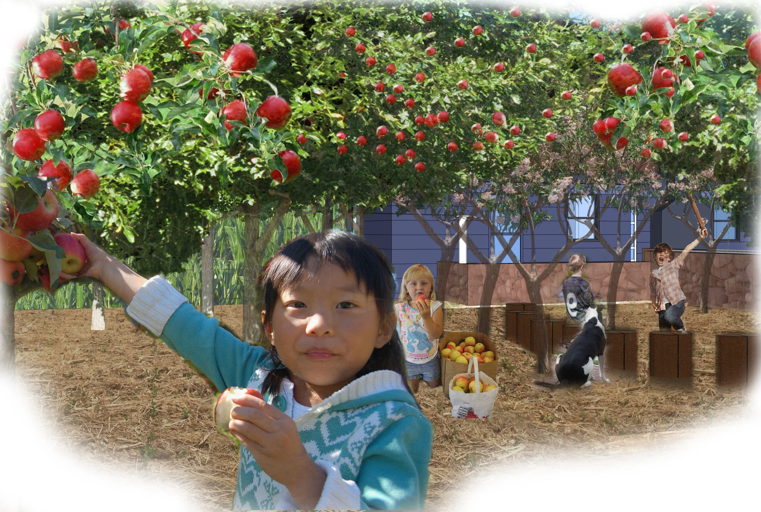 VIEW FROM ORCHARD final.jpg