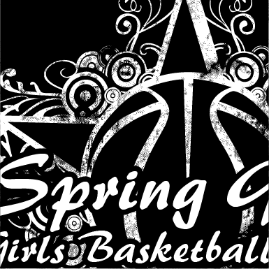 Spring-Grove-Basketball-Girls-Camp-2010-Detail.png