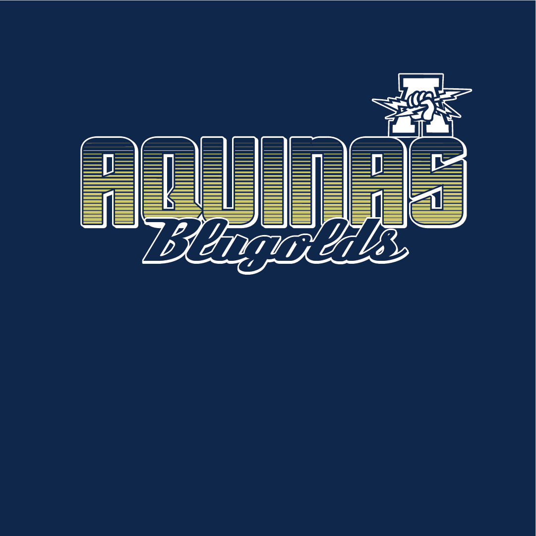 High-School-Colored-Hoods-2013-Aquinas.png