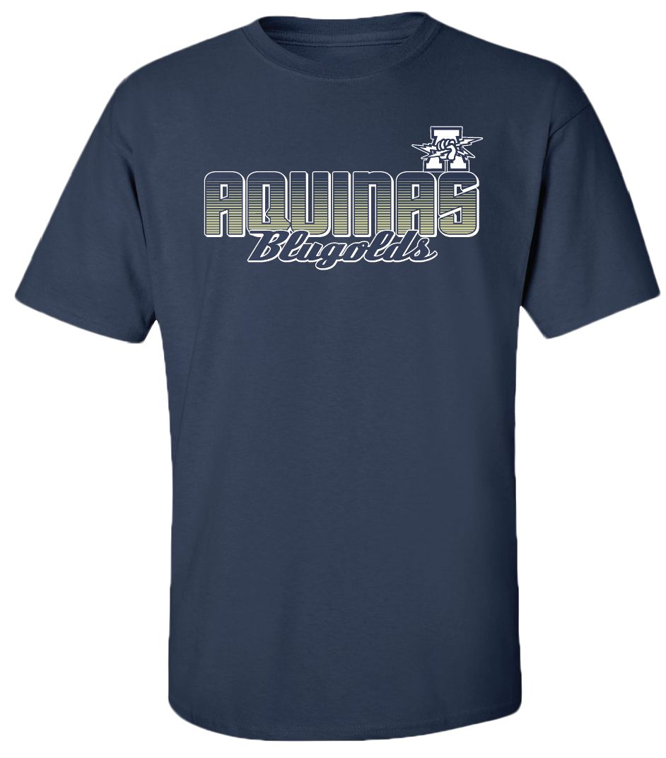 High-School-Colored-Hoods-2013-Aquinas-Shirt.png
