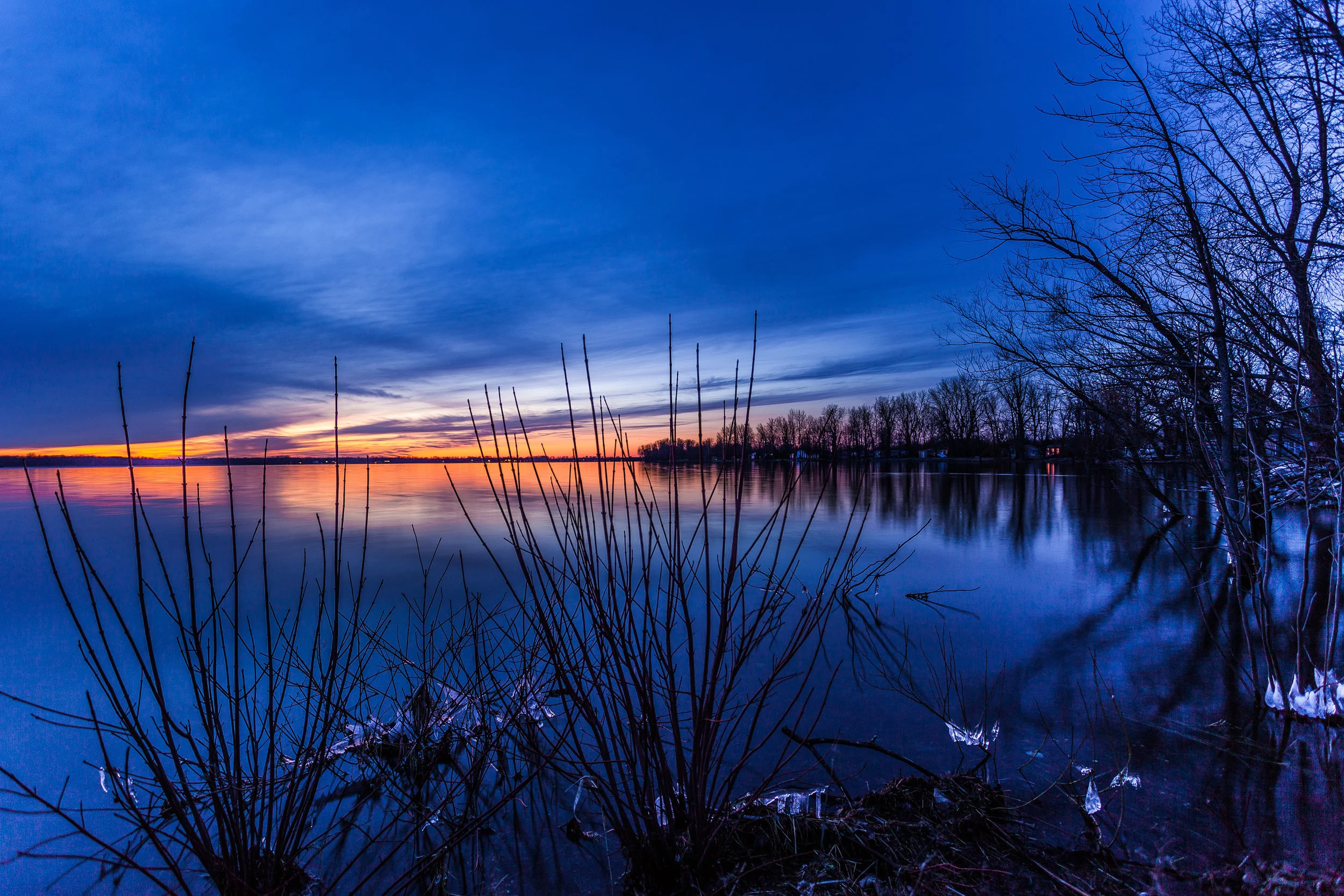 _MG_4407.jpg