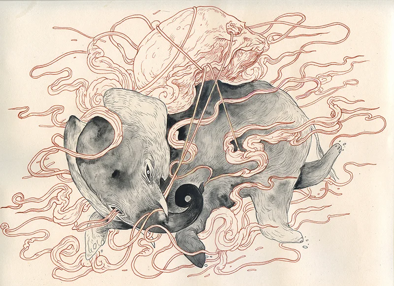 skydancer