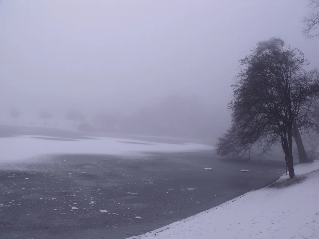 Black Ice Now Available to Order