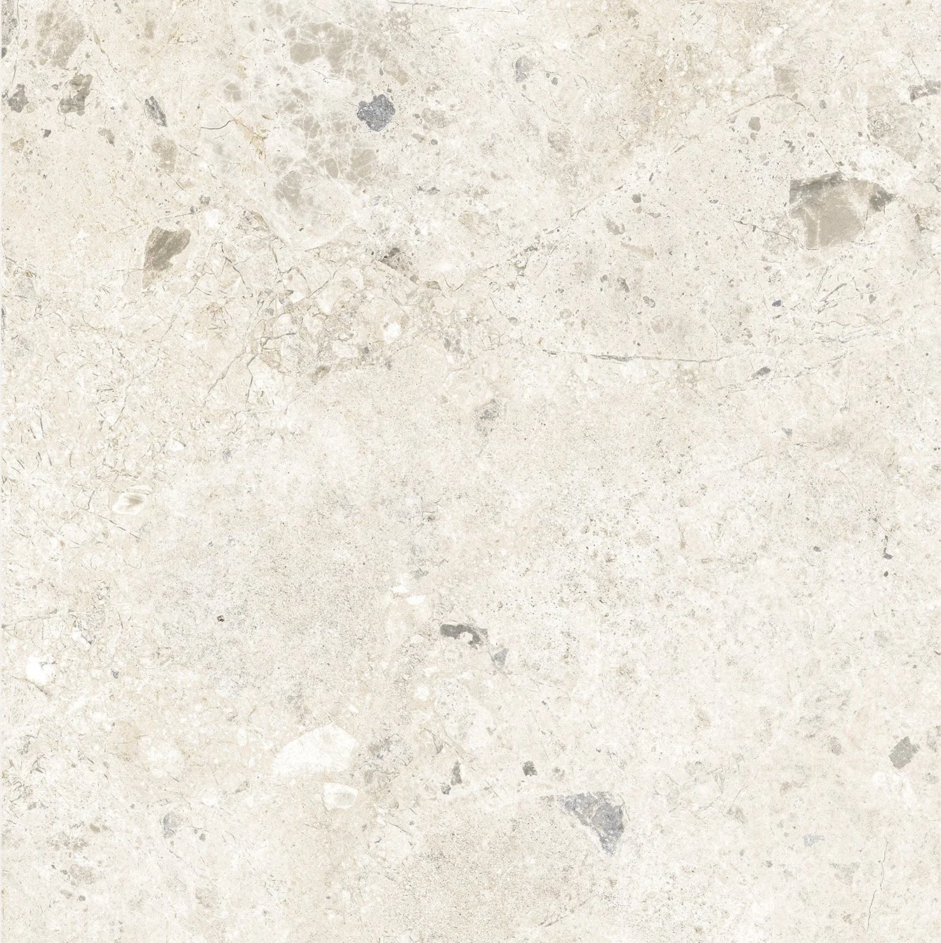 Ambrosia Ivory
