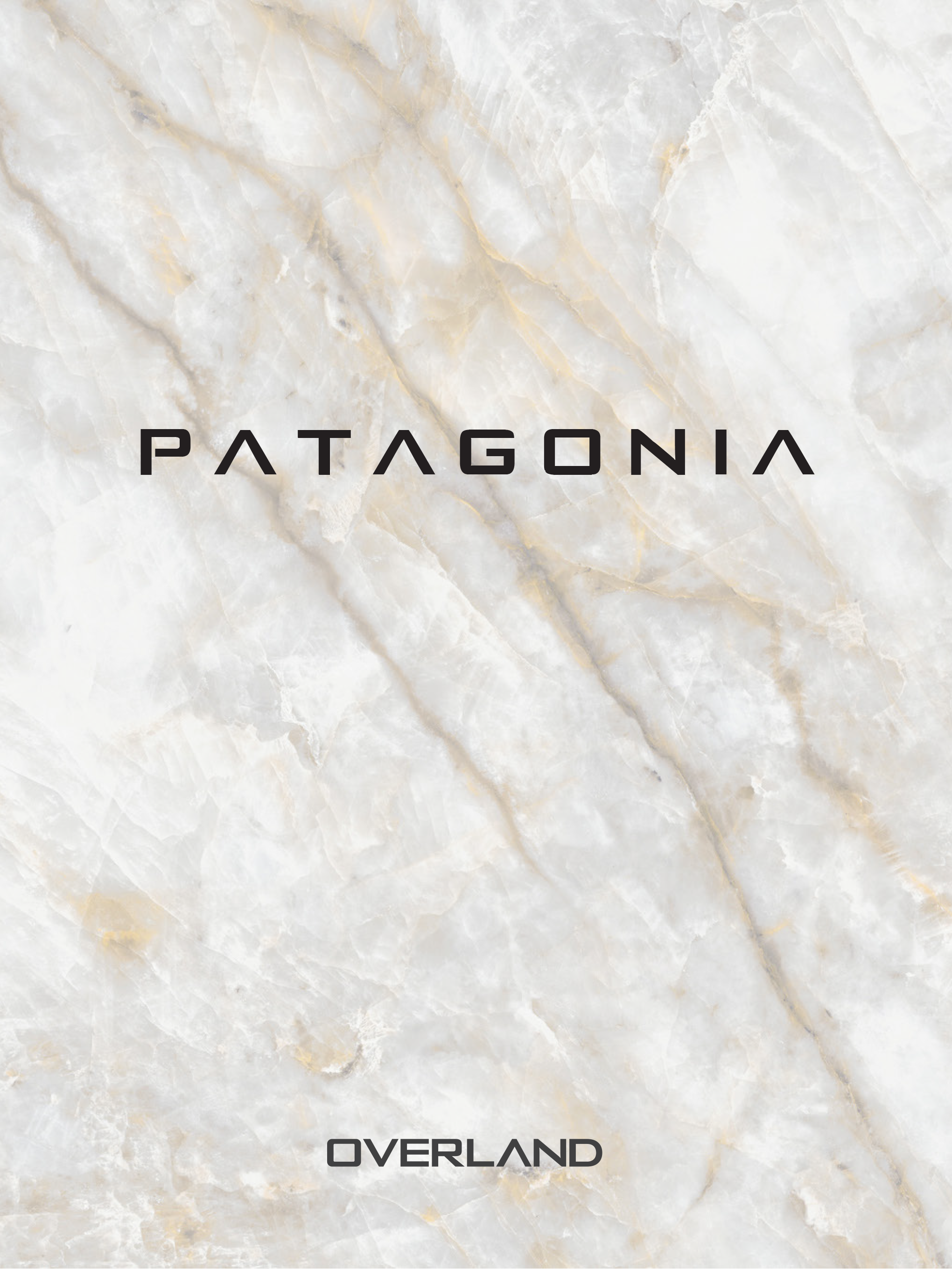 Patagonia-1.png