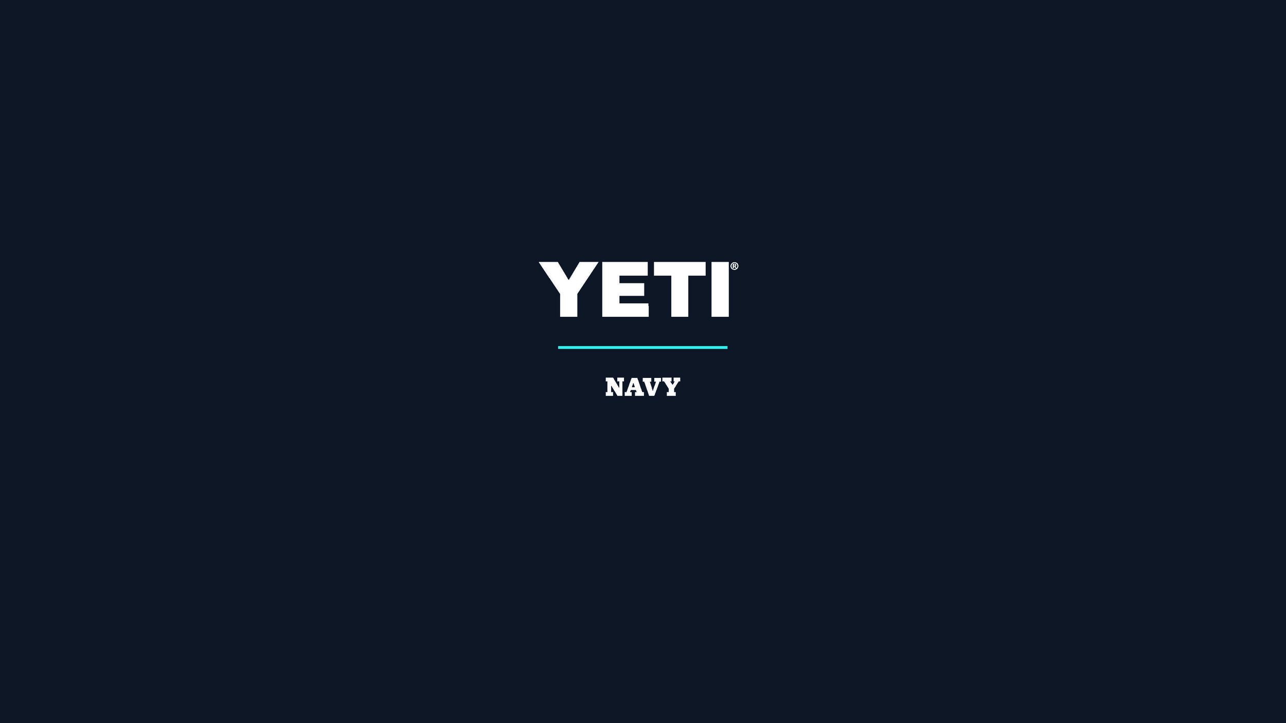 Navy-Color-Campaign-Preso_Page_01.jpg