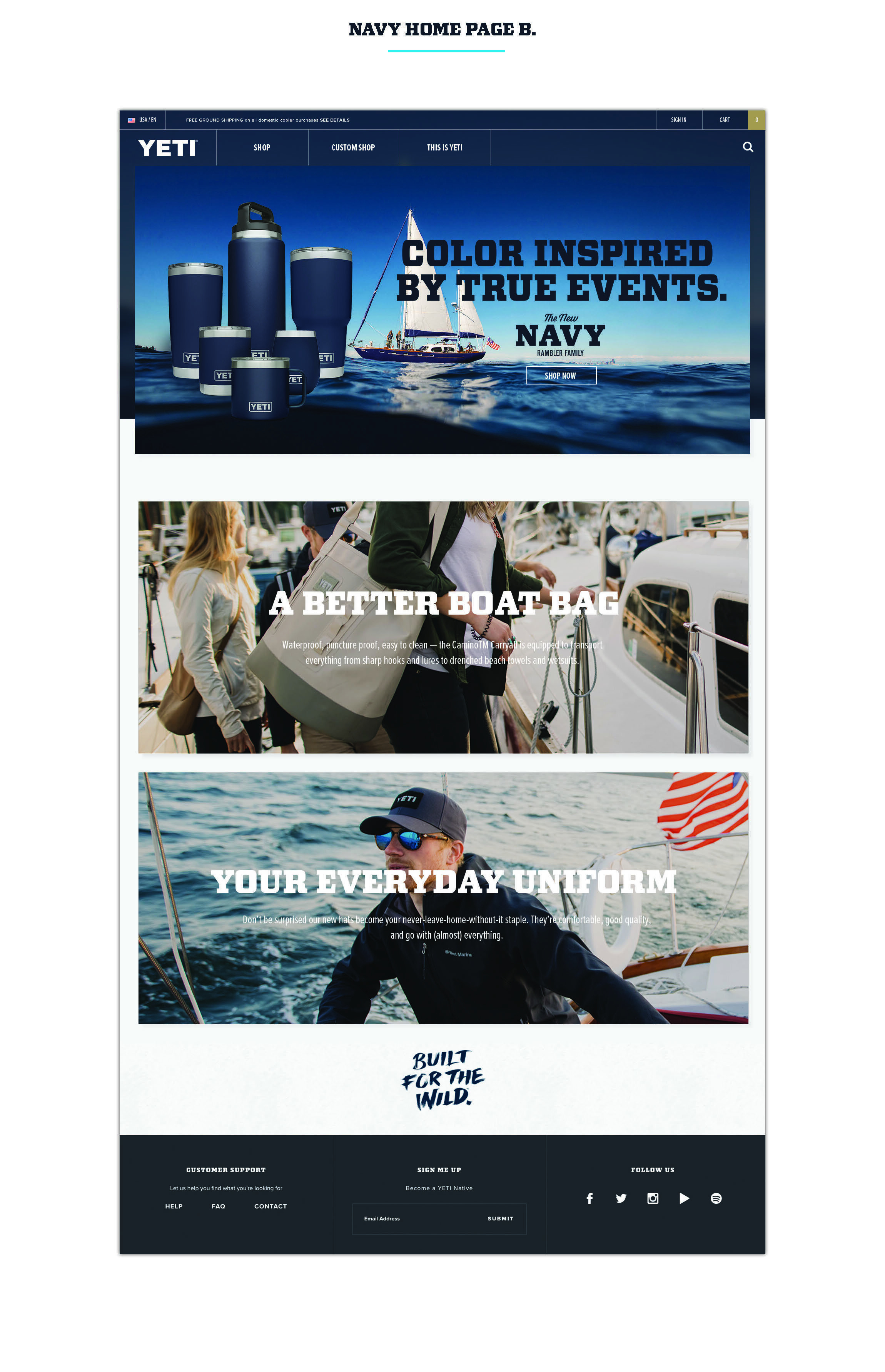 Navy-Color-Campaign-Preso_Page_11.jpg