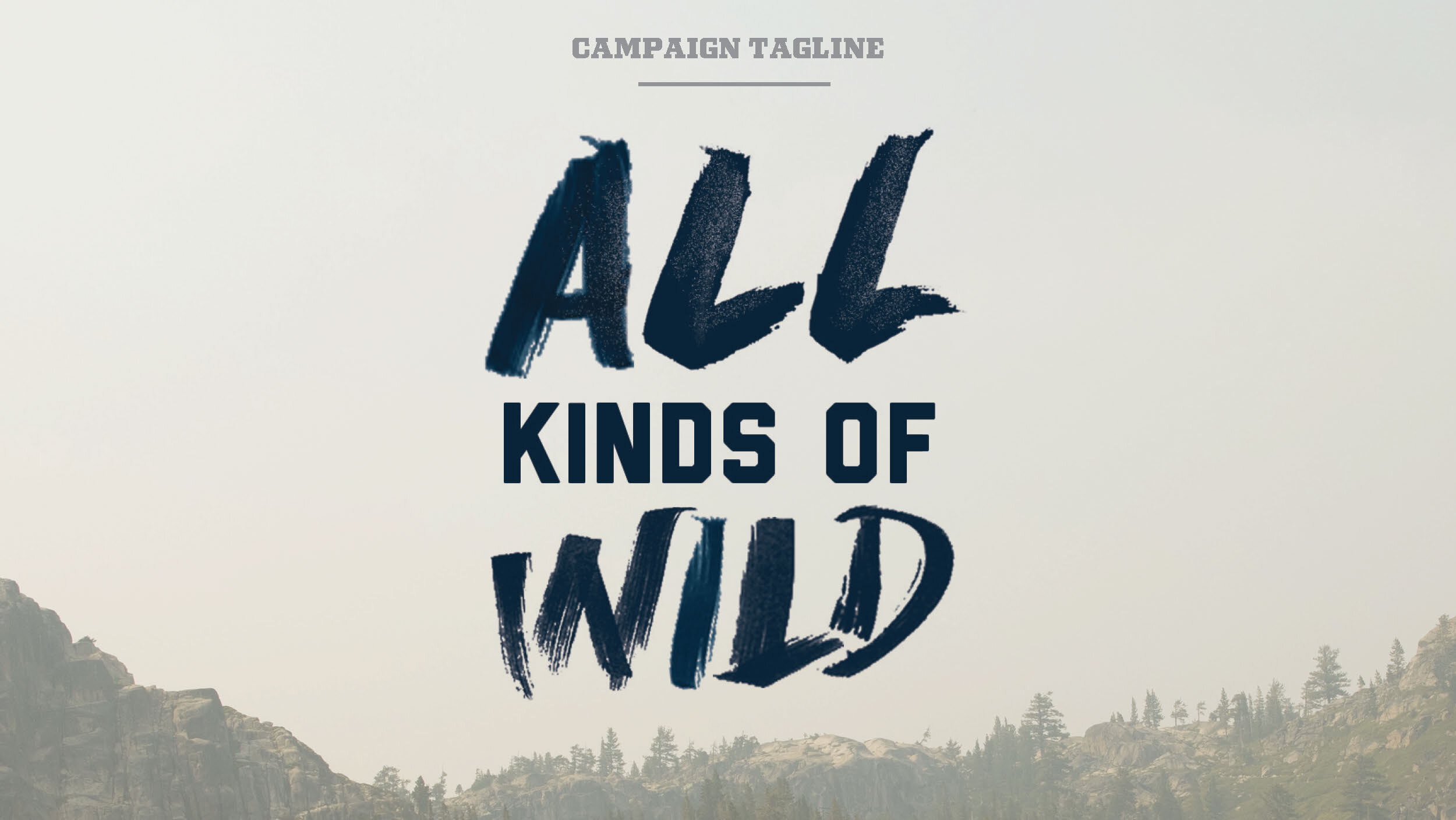 Bags-Family-CampaignPreso_Page_04.jpg