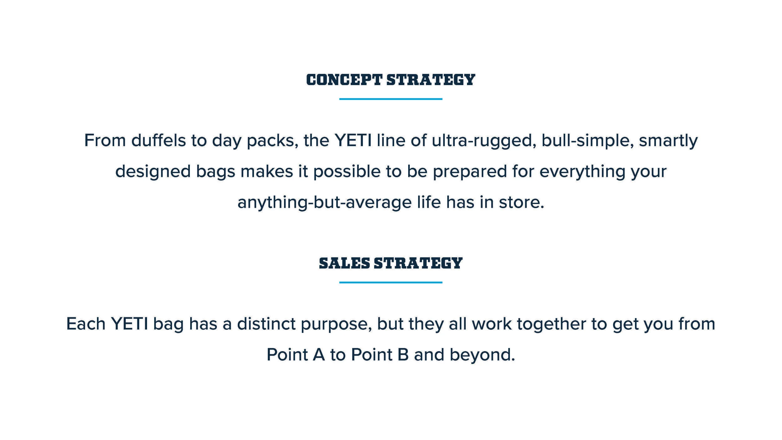Bags-Family-CampaignPreso_Page_03.jpg
