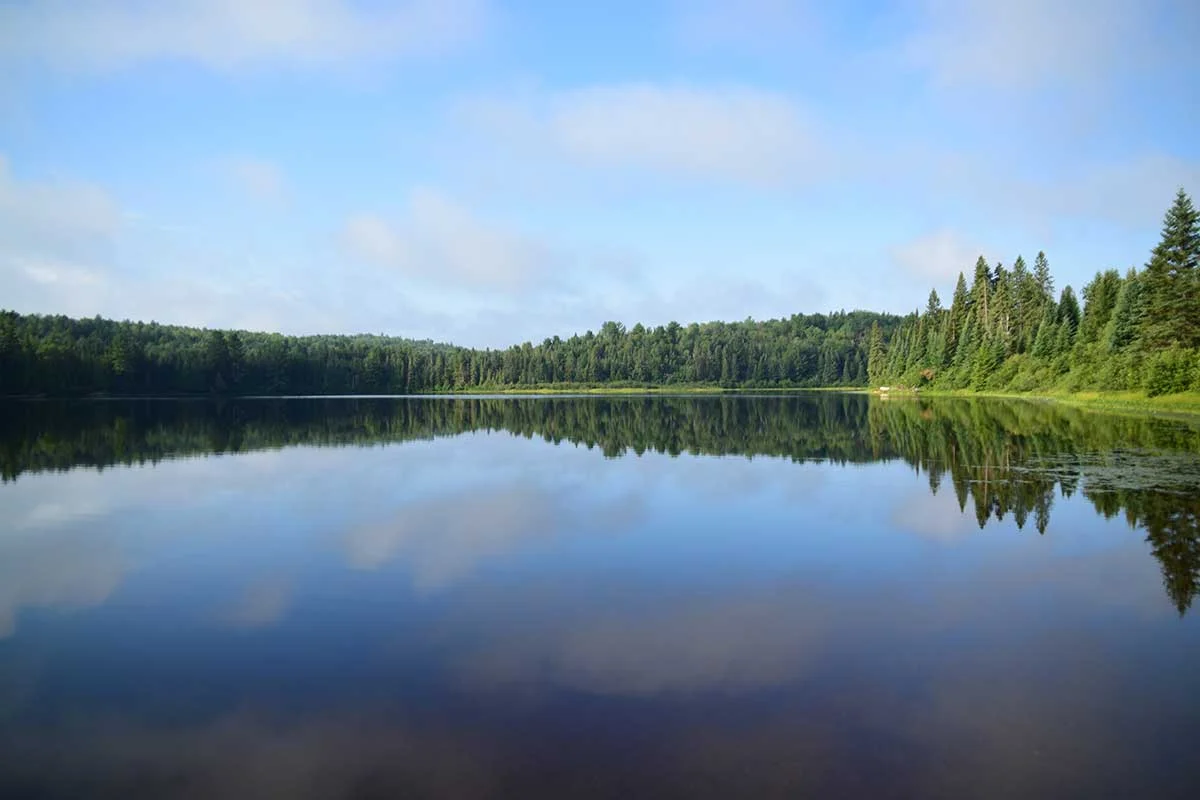 Algonquin-Whitefish---August-14-16,-2015-006.jpg