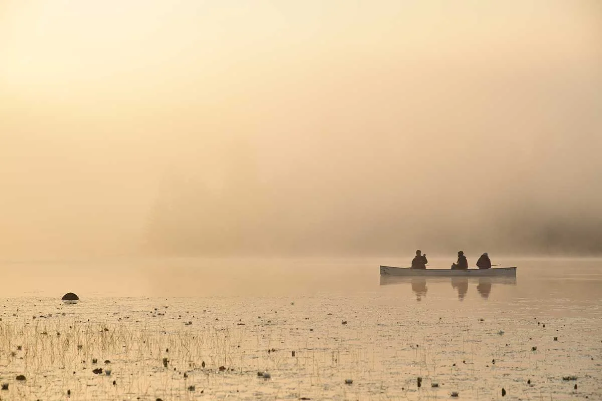 Algonquin-Whitefish---August-14-16,-2015-379.jpg