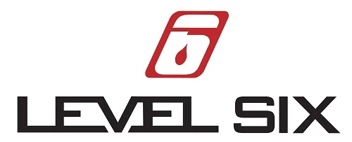 Level 6