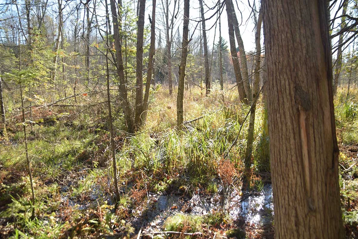 Scouting-winter-trip_0072.jpg