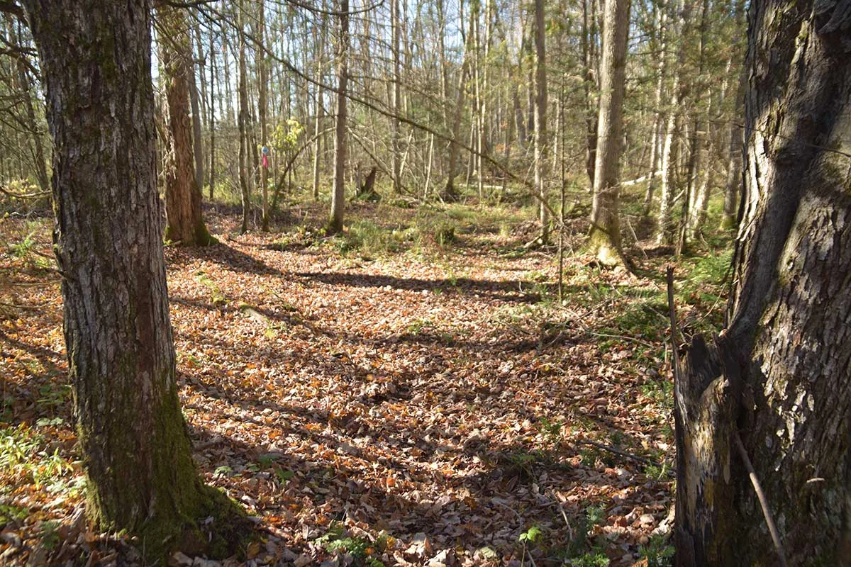 Scouting-winter-trip_0063.jpg