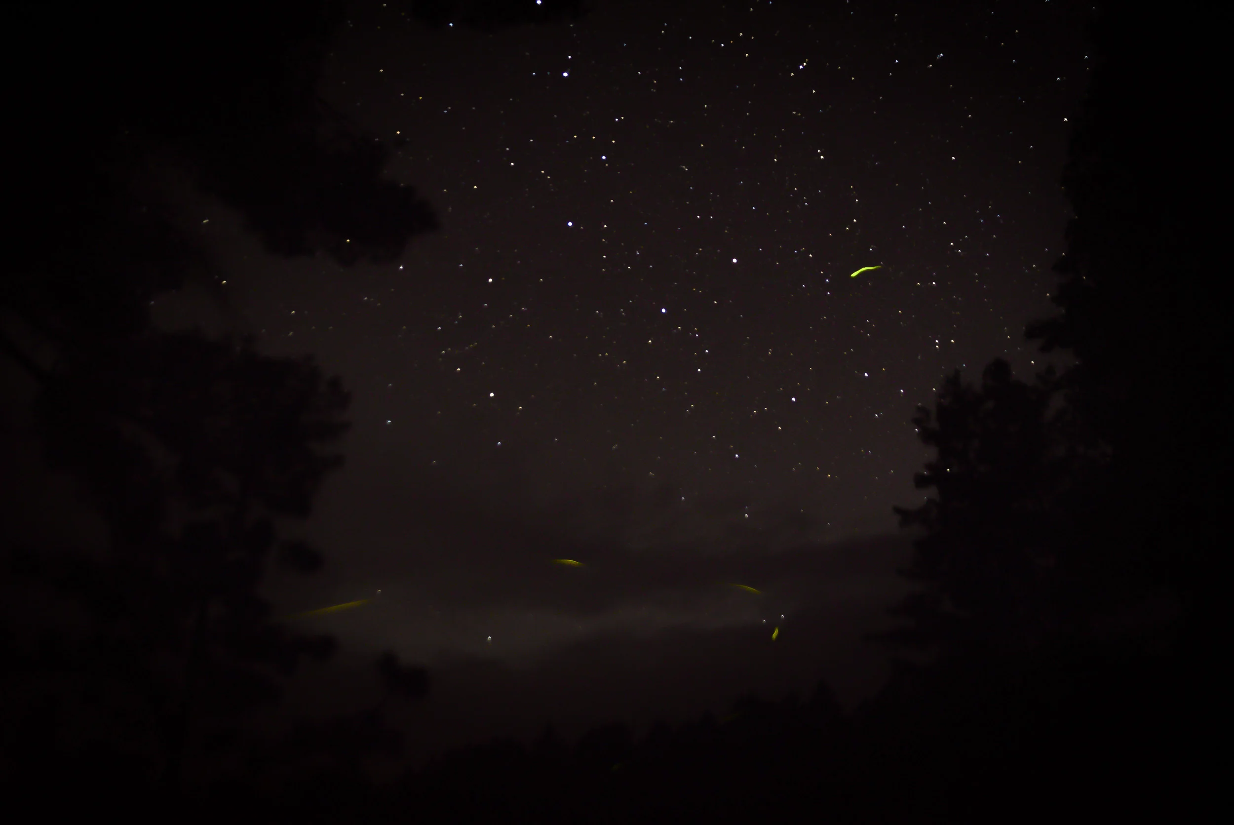 Opeongo - July 1-3, 2016-25.jpg