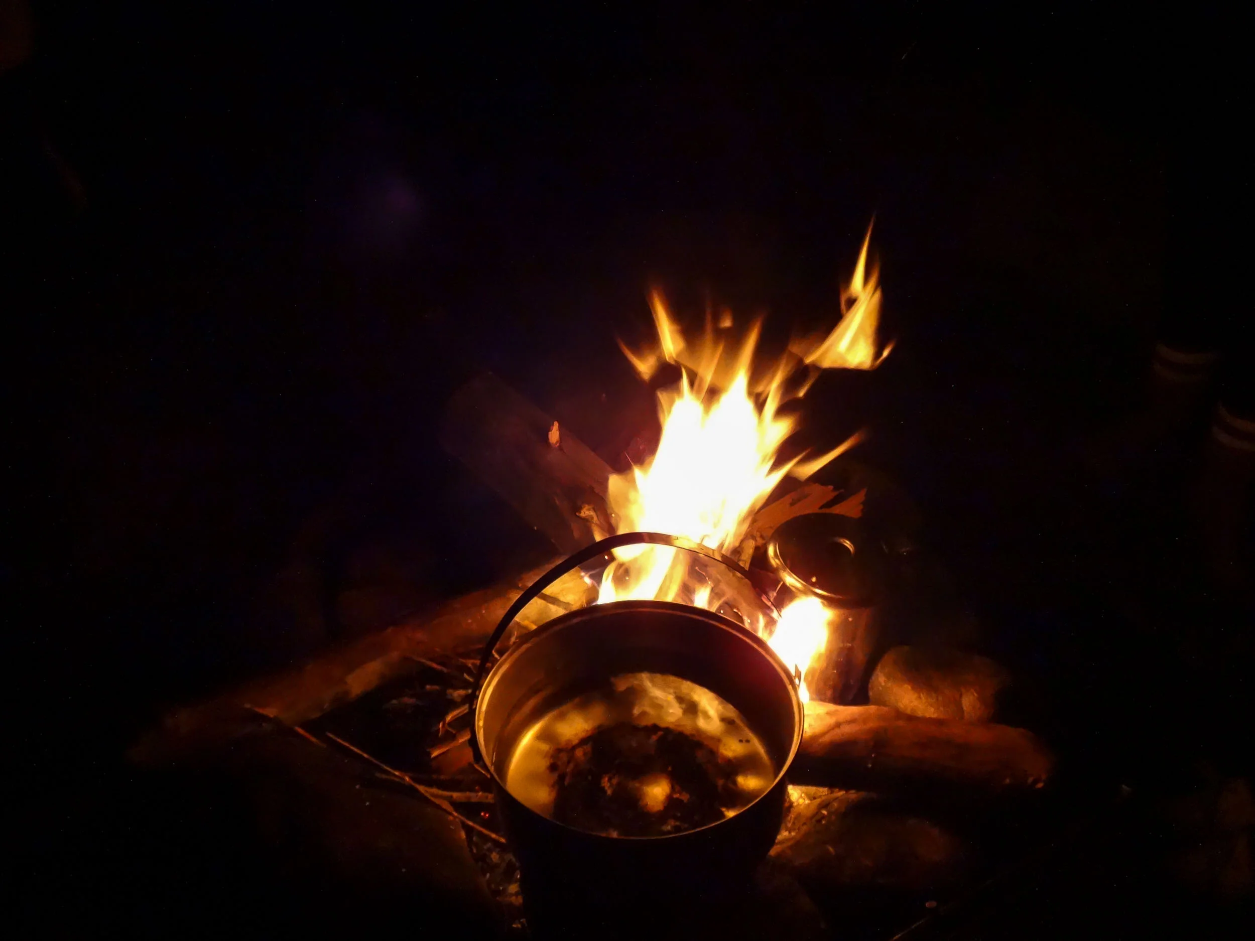 DSC03534.jpg