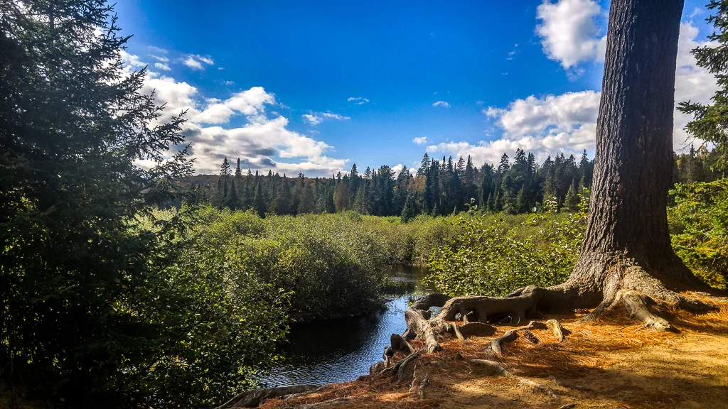 20171006_143524_HDR.jpg