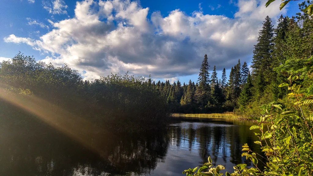 20171006_171510_HDR.jpg