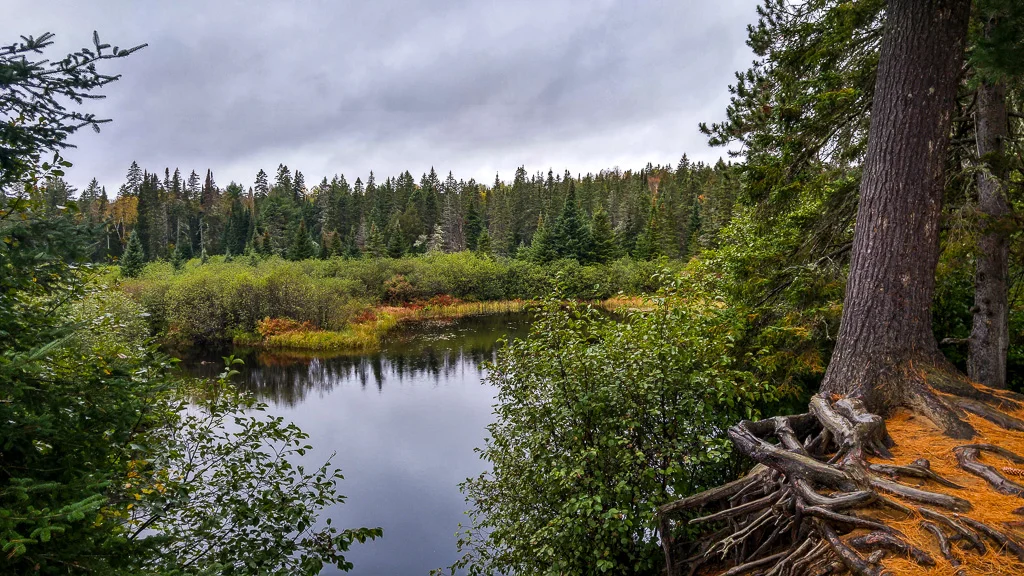 20171007_084704_HDR.jpg