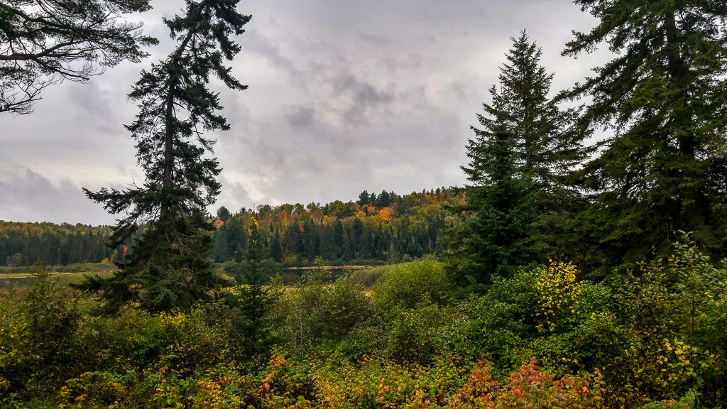 20171007_110817_HDR.jpg