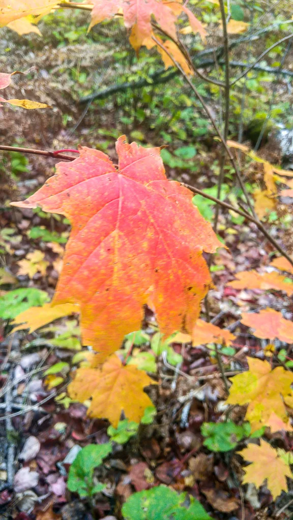 20171007_135748_HDR.jpg
