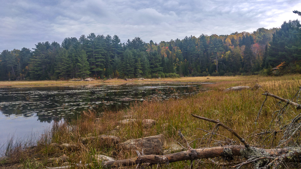 20171007_140750_HDR.jpg