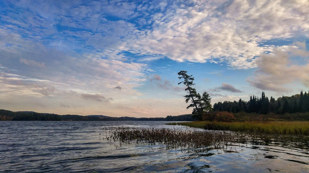 20171007_172942_HDR.jpg