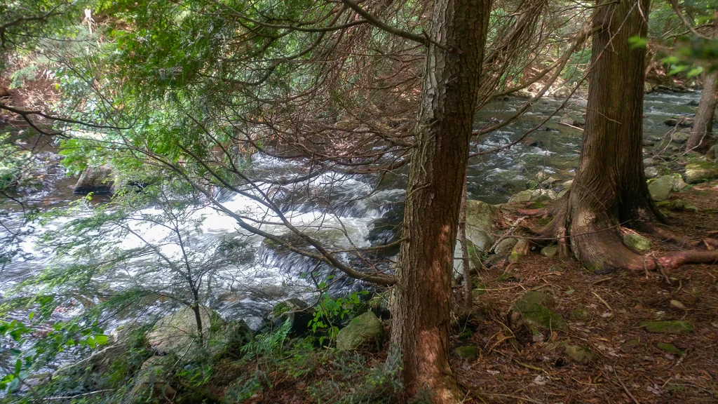 20170702_160542.jpg