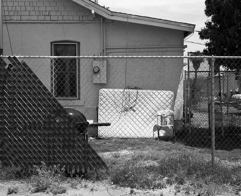 backyard.jpg