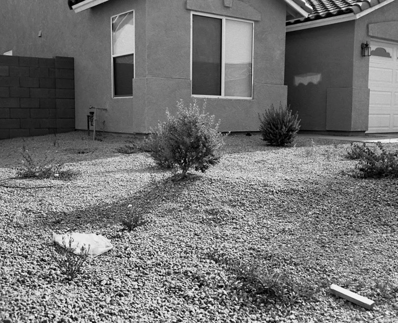 frontyard.jpg