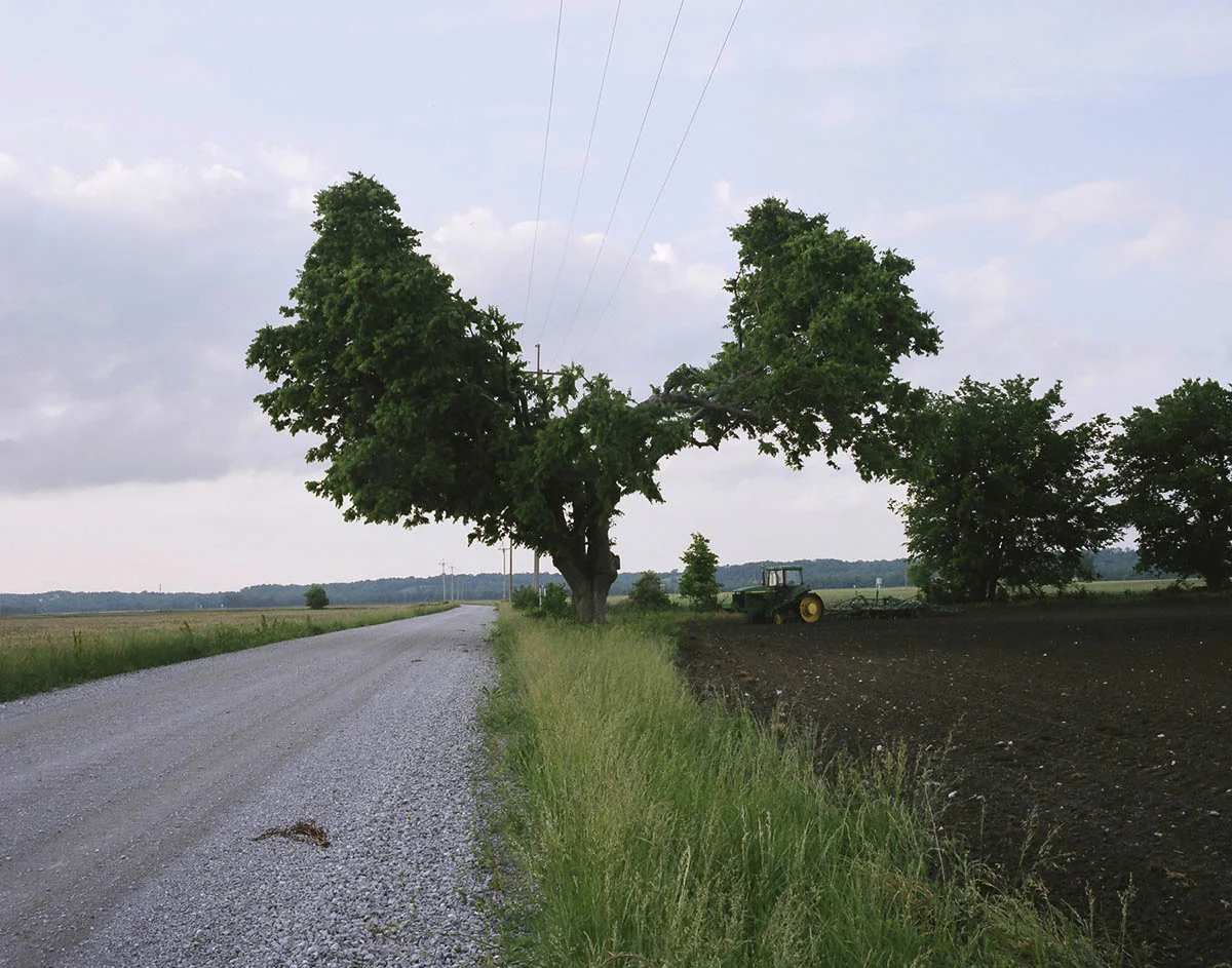 Farnum_Country_7.JPG