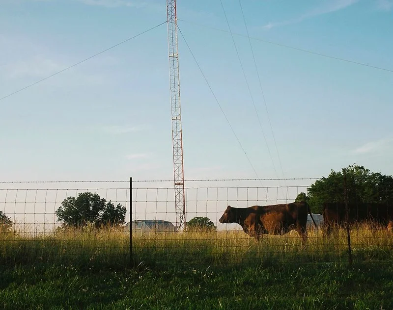 Farnum_Country_14.jpg